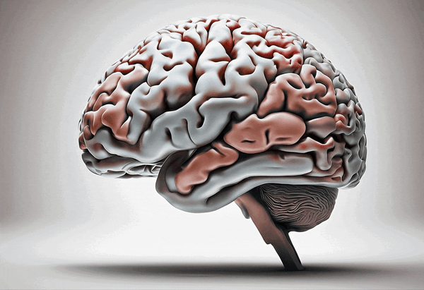 Pixabay - Human Brain